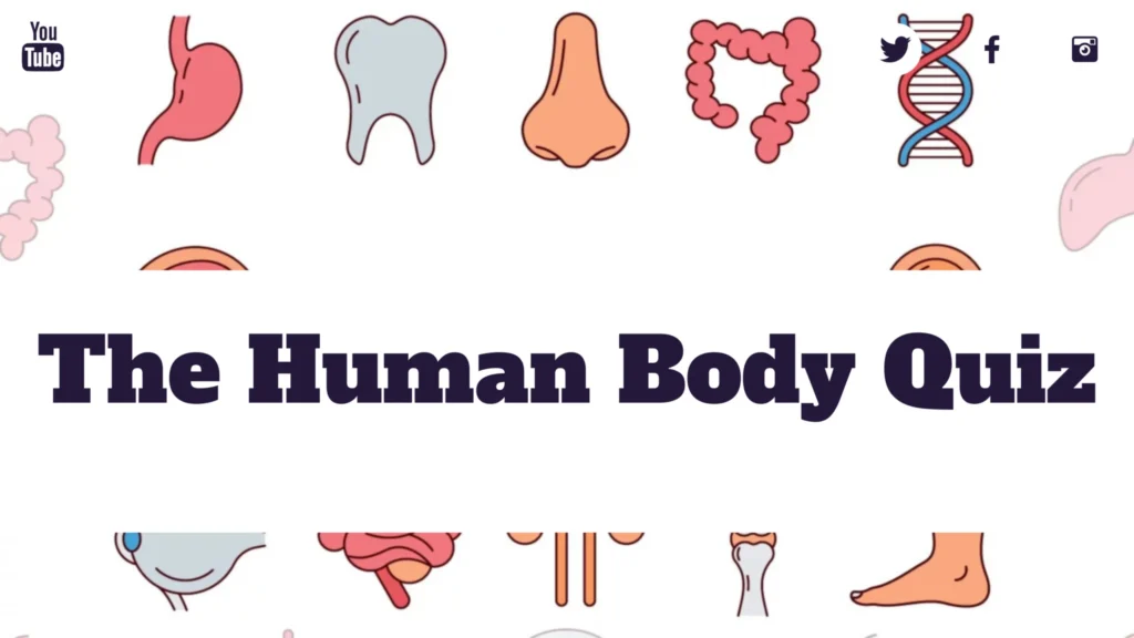 The Human Body Quiz